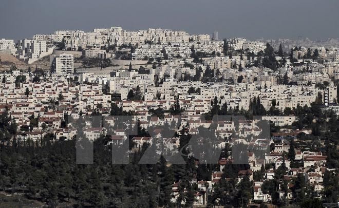 La Palestine appelle la communauté internationale à agir - ảnh 1